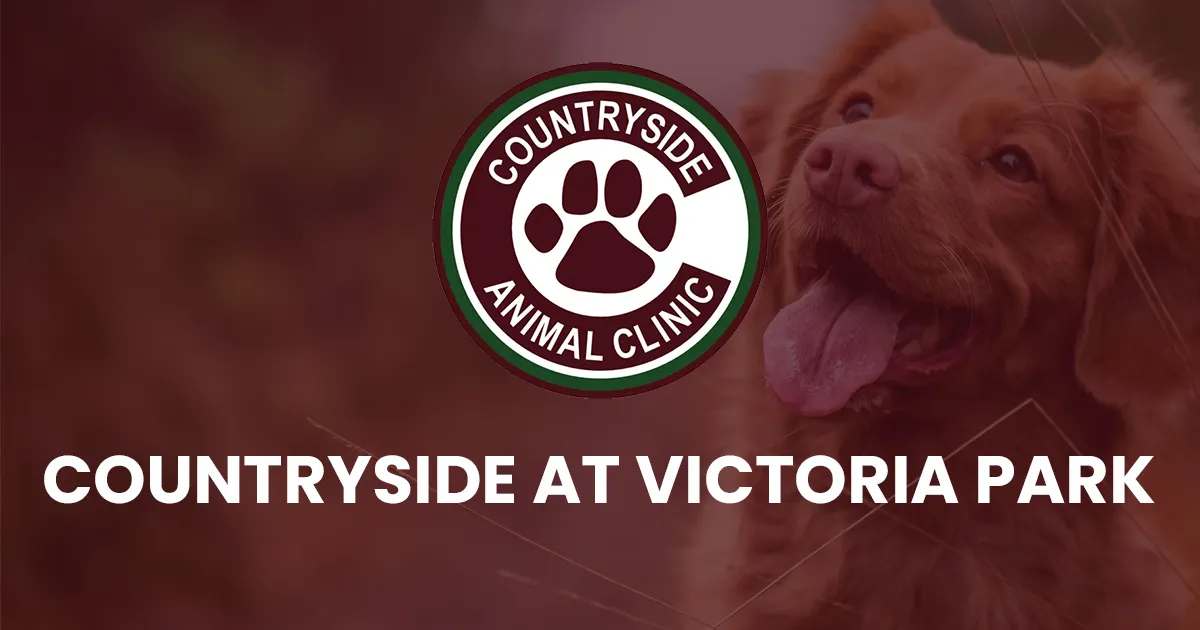 Countryside Animal Clinic at the Park